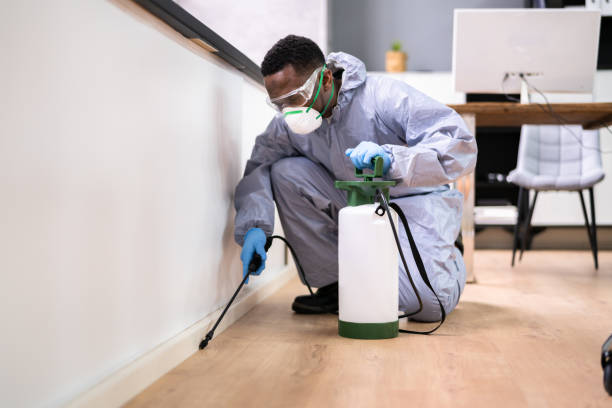 Reliable North Baltimore, OH Pest Control Solutions